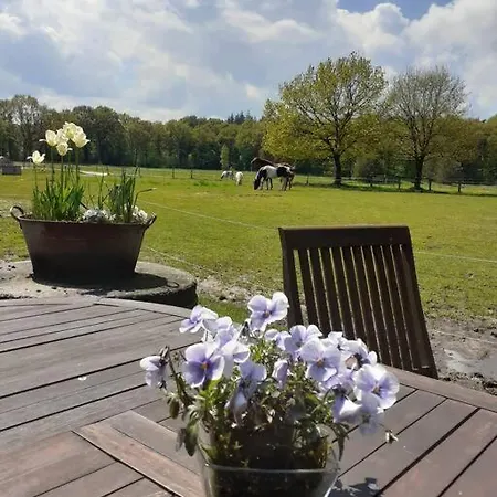 Landgut Am Wald- Fewo In Nordseenaehe Apartment Schortens