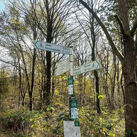 Apartment Landgut Am Wald- Fewo In Nordseenaehe Schortens