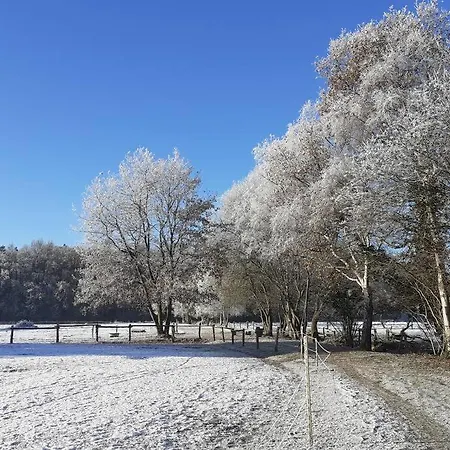 Landgut Am Wald- Fewo In Nordseenaehe *